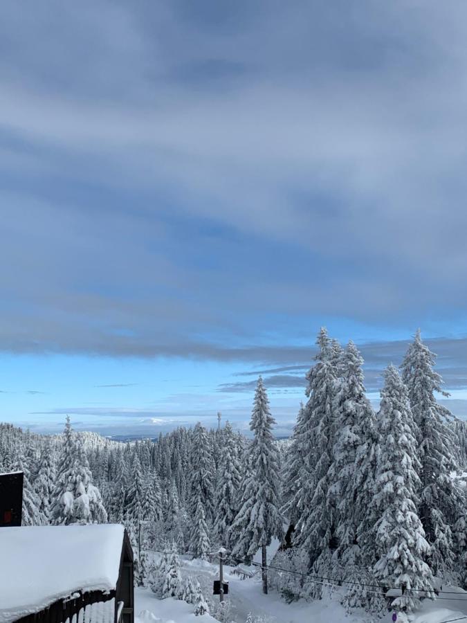 Forresto Apartmani Jahorina Bagian luar foto